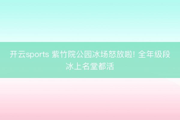 开云sports 紫竹院公园冰场怒放啦! 全年级段冰上名堂都活