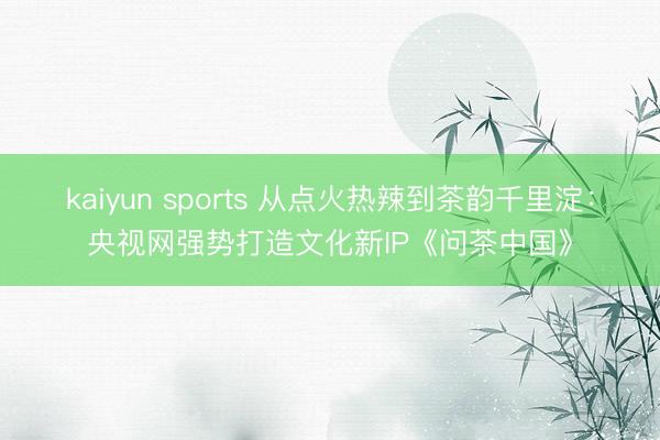 kaiyun sports 从点火热辣到茶韵千里淀：央视网强势打造文化新IP《问茶中国》