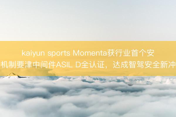 kaiyun sports Momenta获行业首个安全机制要津中间件ASIL D全认证，达成智驾安全新冲破