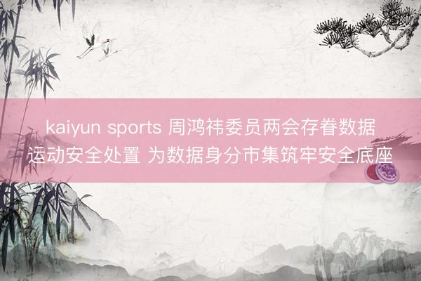 kaiyun sports 周鸿祎委员两会存眷数据运动安全处置 为数据身分市集筑牢安全底座