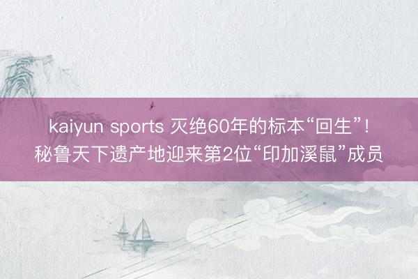 kaiyun sports 灭绝60年的标本“回生”！秘鲁天下遗产地迎来第2位“印加溪鼠”成员