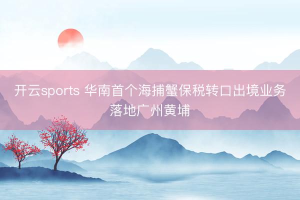 开云sports 华南首个海捕蟹保税转口出境业务落地广州黄埔