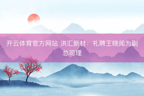 开云体育官方网站 洪汇新材：礼聘王晓闻为副总司理