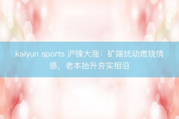 kaiyun sports 沪镍大涨：矿端扰动燃烧情感，老本抬升夯实相沿