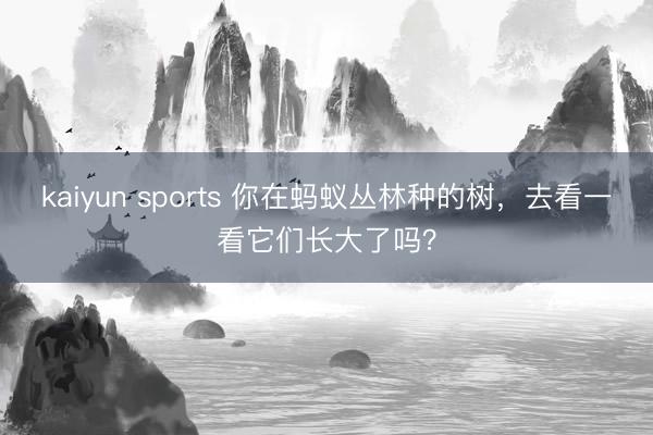 kaiyun sports 你在蚂蚁丛林种的树，去看一看它们长大了吗？