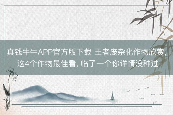 真钱牛牛APP官方版下载 王者庞杂化作物欣赏， 这4个作物最佳看， 临了一个你详情没种过