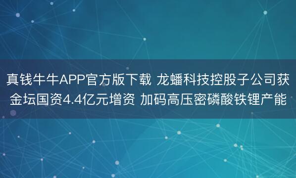 真钱牛牛APP官方版下载 龙蟠科技控股子公司获金坛国资4.4亿元增资 加码高压密磷酸铁锂产能