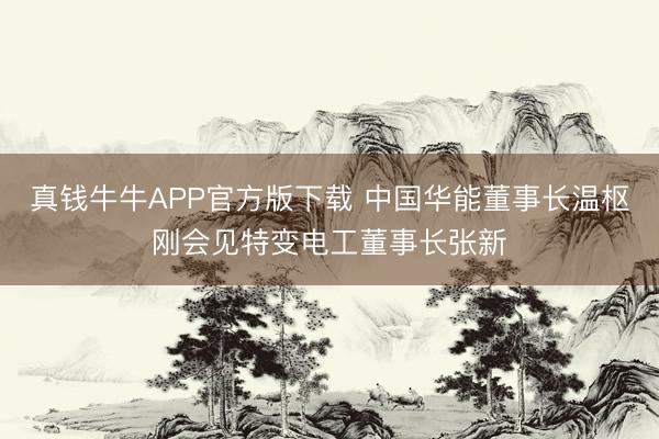 真钱牛牛APP官方版下载 中国华能董事长温枢刚会见特变电工董事长张新