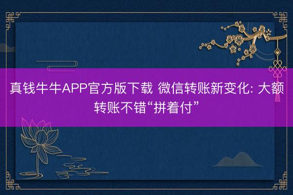 真钱牛牛APP官方版下载 微信转账新变化: 大额转账不错“拼着付”