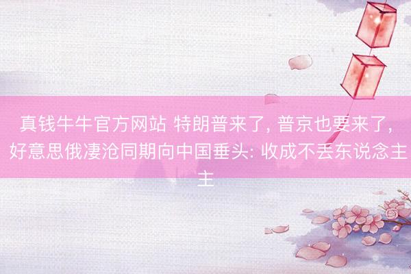 真钱牛牛官方网站 特朗普来了， 普京也要来了， 好意思俄凄沧同期向中国垂头: 收成不丢东说念主