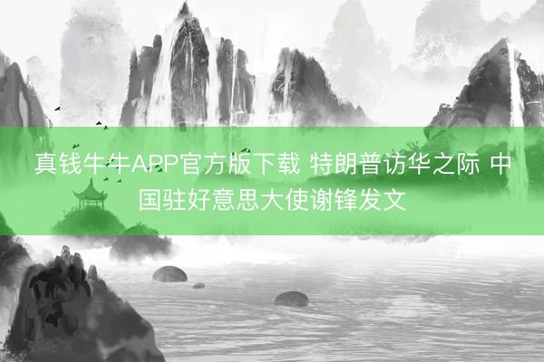 真钱牛牛APP官方版下载 特朗普访华之际 中国驻好意思大使谢锋发文