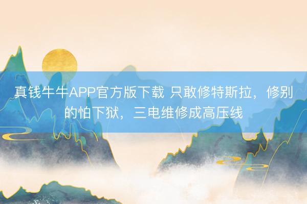 真钱牛牛APP官方版下载 只敢修特斯拉，修别的怕下狱，三电维修成高压线