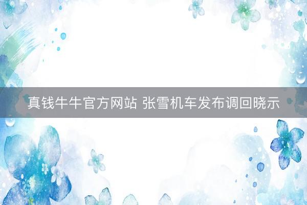 真钱牛牛官方网站 张雪机车发布调回晓示